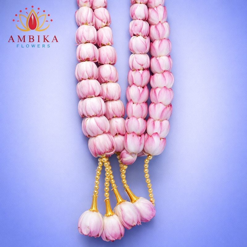 Lotus Garland - PG14