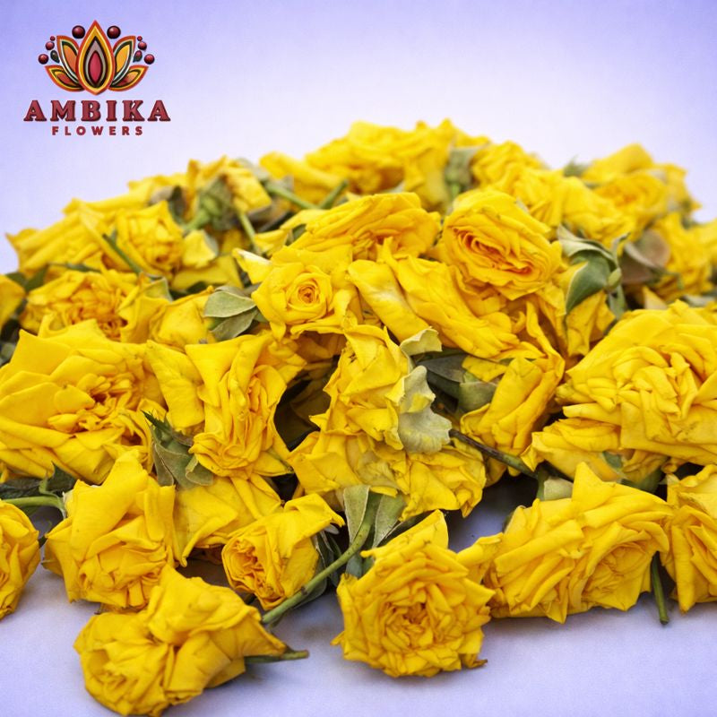 Button Rose Loose Flowers (100g) - dEL
