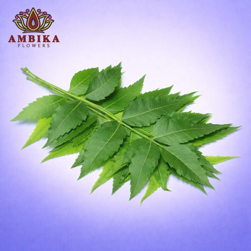 Veppilai (Neem Leaves) - L007