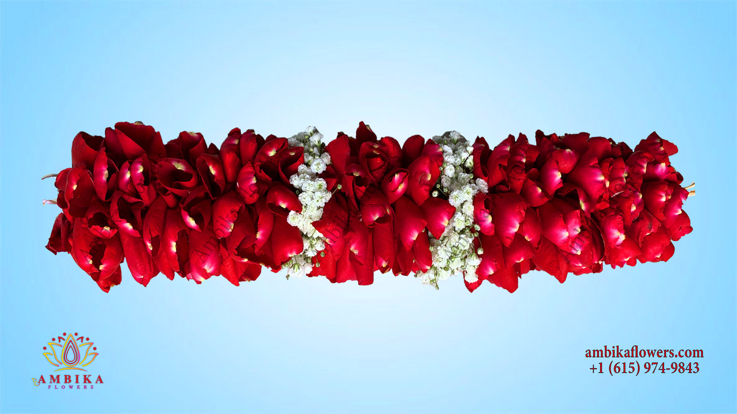 Veni - Rose Petals with Baby Breath - V006