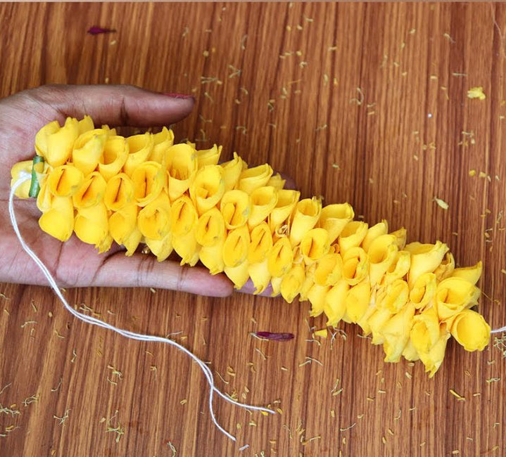 Veni - Rose Petals - G045