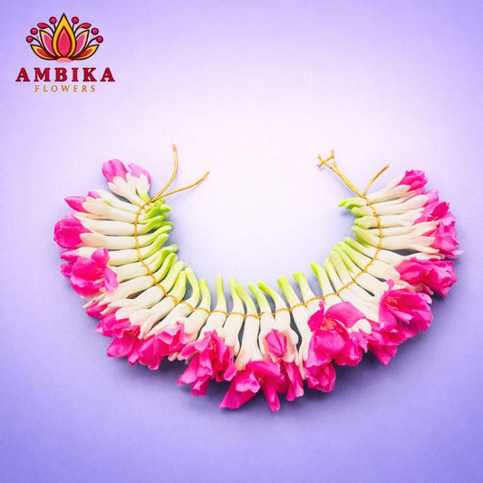 Veni Gajara Sampangi - V006