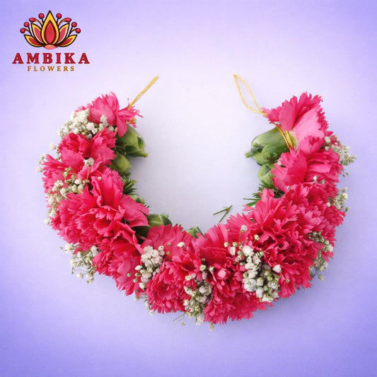 Veni - Carnation - V002