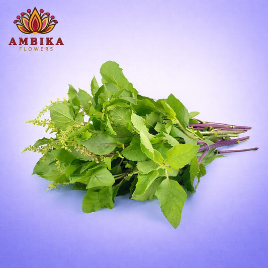 Thulasi (Holy Basil) Leaves - L006