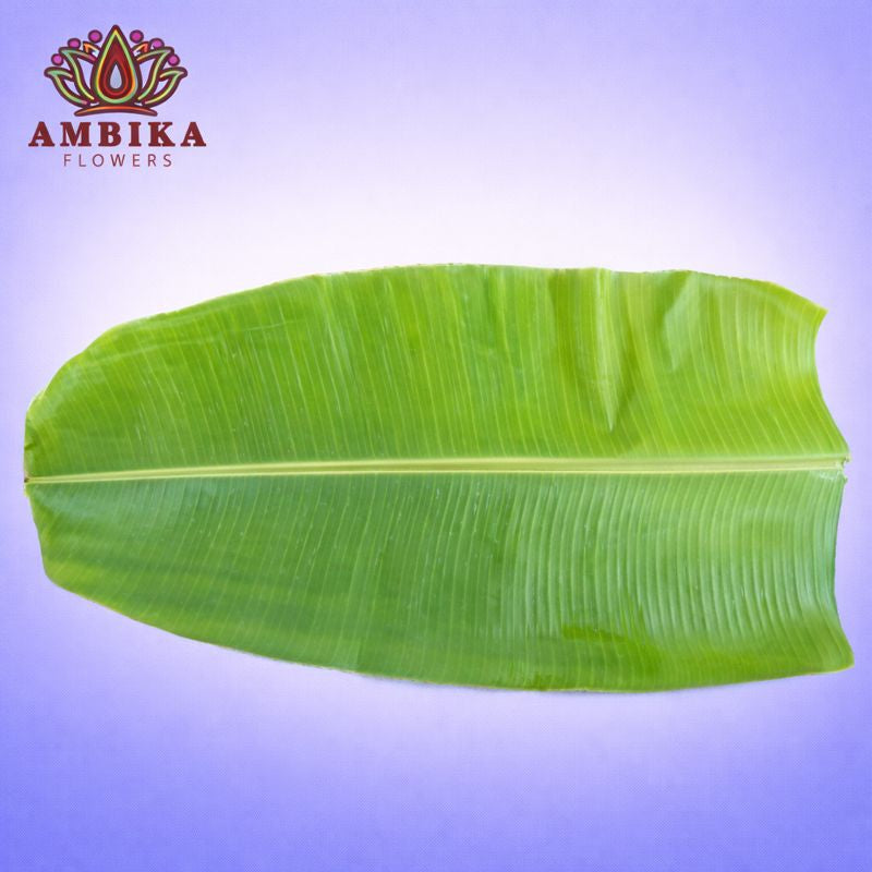 Banana Leaf - L001