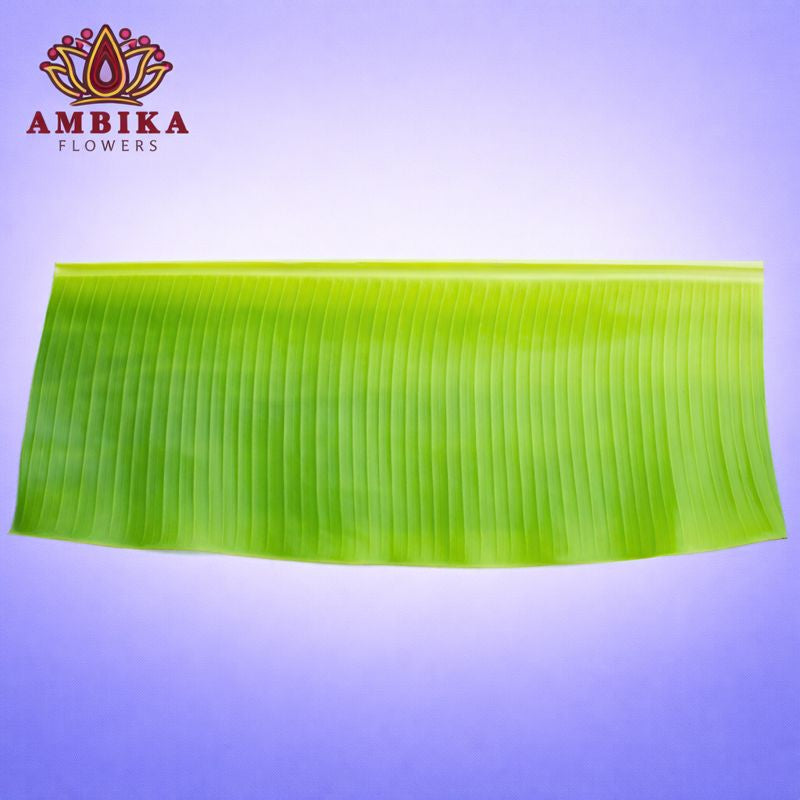 Banana Leaf - L001