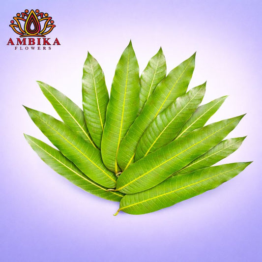 Mango Leaves - L004
