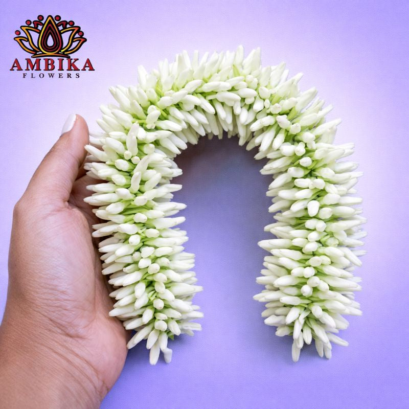 Mullai/Sannajaji String - S003