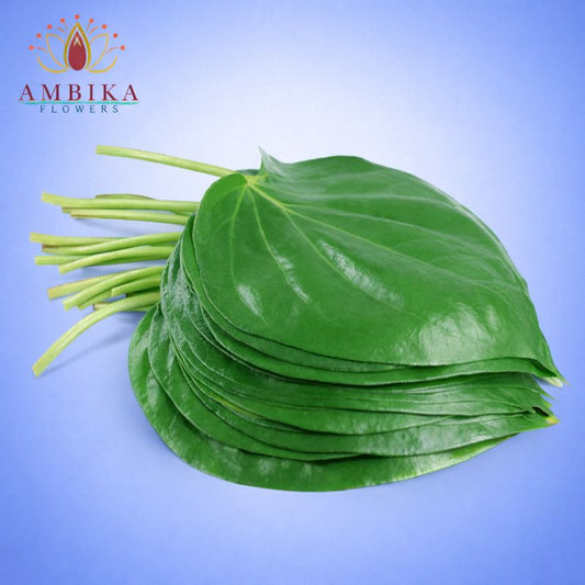 Betel Leaves - 10 per pack - L003