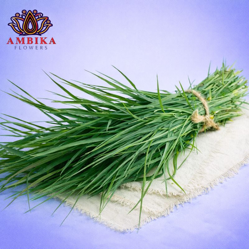 Durva Grass (per small bunch) - O003