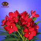 Arali Loose Flowers (100g) - LF01