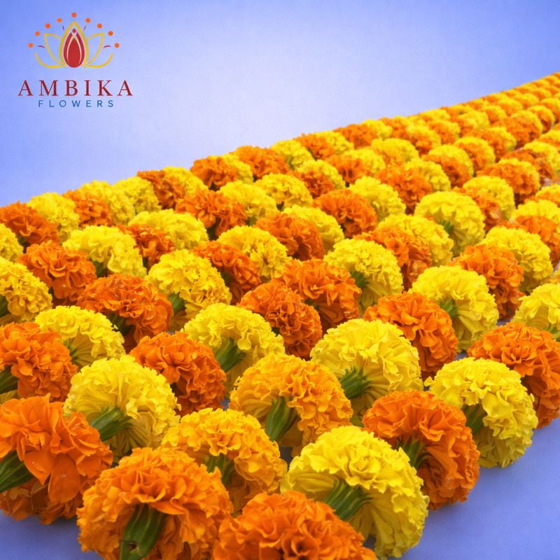Marigold String