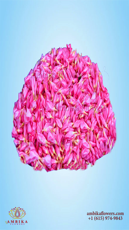 P5000 Arali (Oleander) Loose Flowers (100g)
