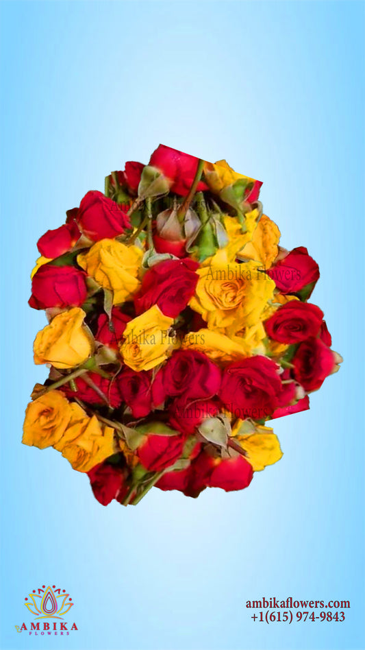 Button Rose Loose Flowers (100g) - F004