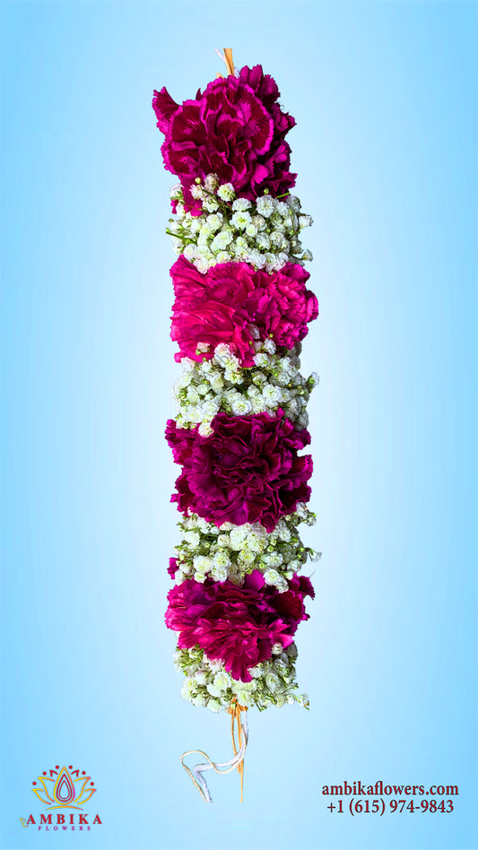 Veni - Carnation - G043