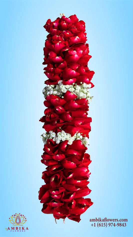 Veni - Rose Petals - G045