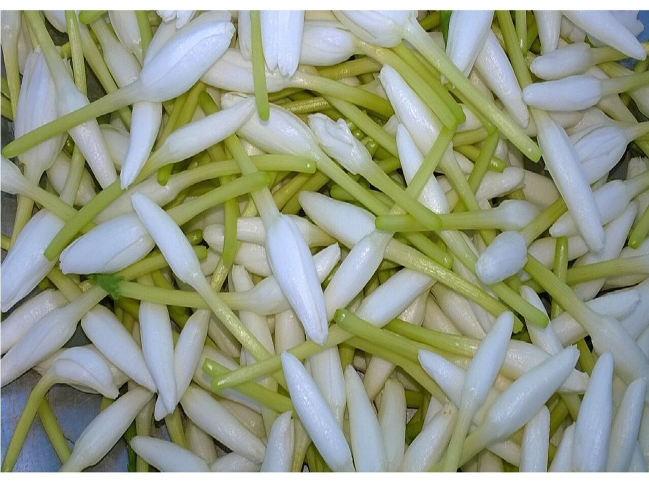 Mullai Loose - 100 gm