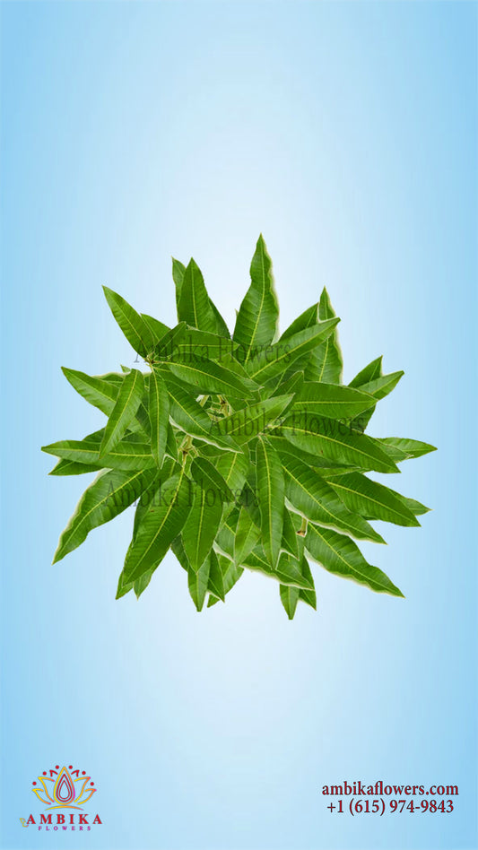 Mango Leaves - L003