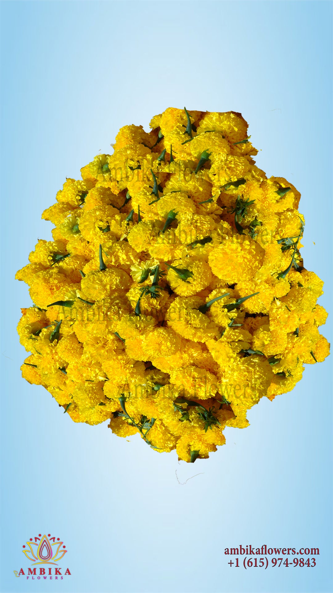 P5002 Marigold Loose Flowers (100g)