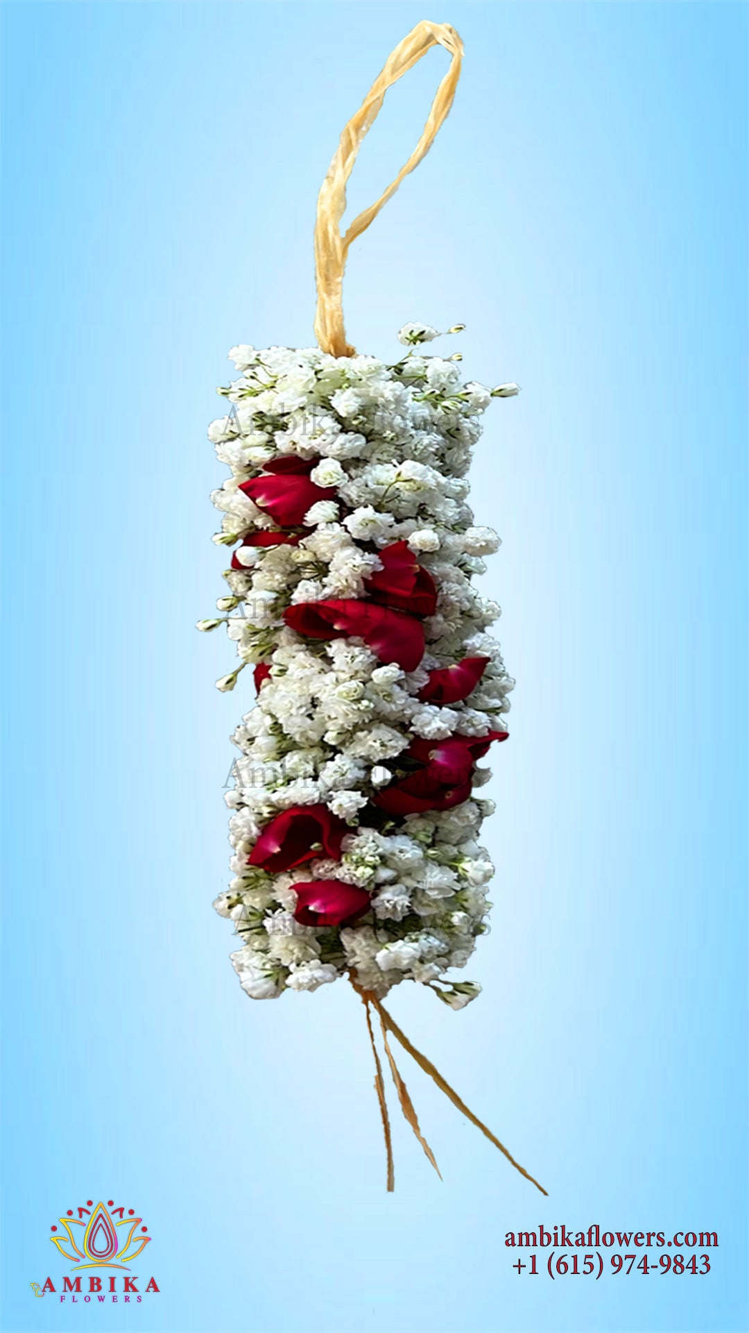 Veni - Baby's-breath (Gypsophila) - G042