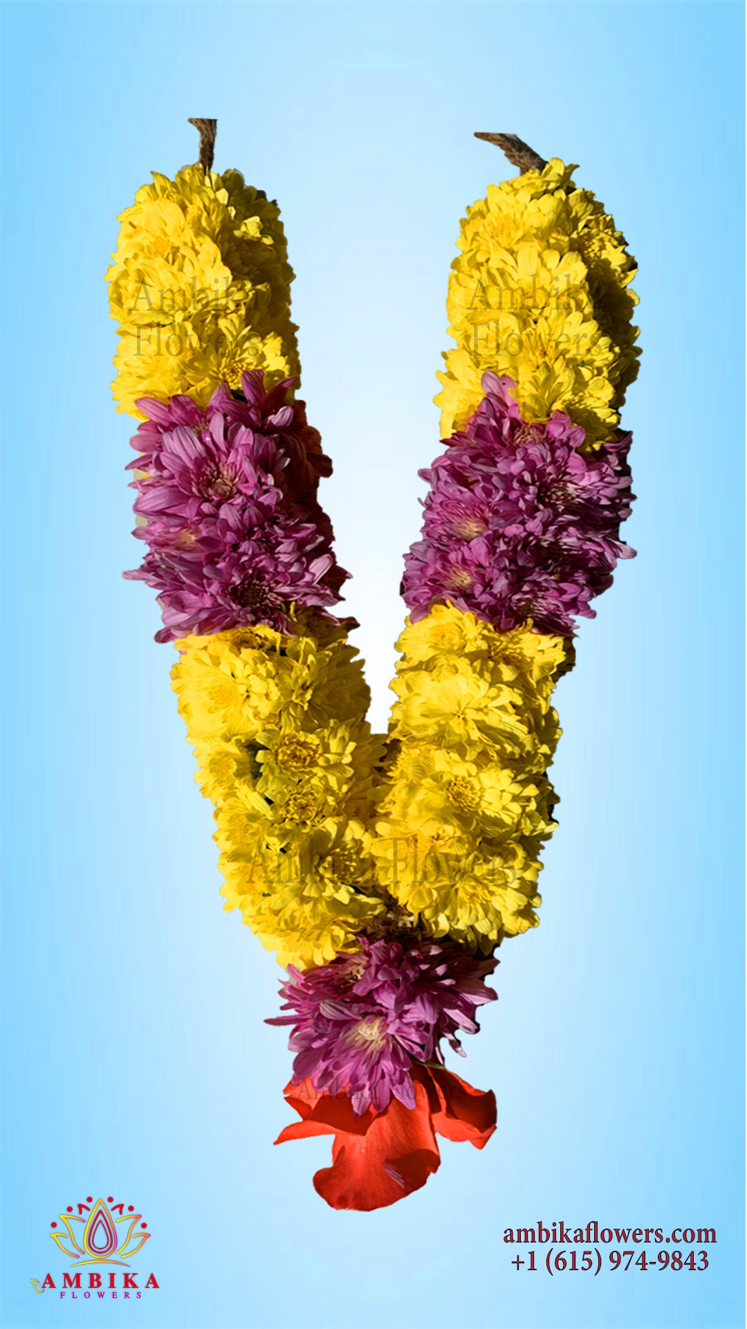 Pooja Garland Mums - Multicolor - PG51