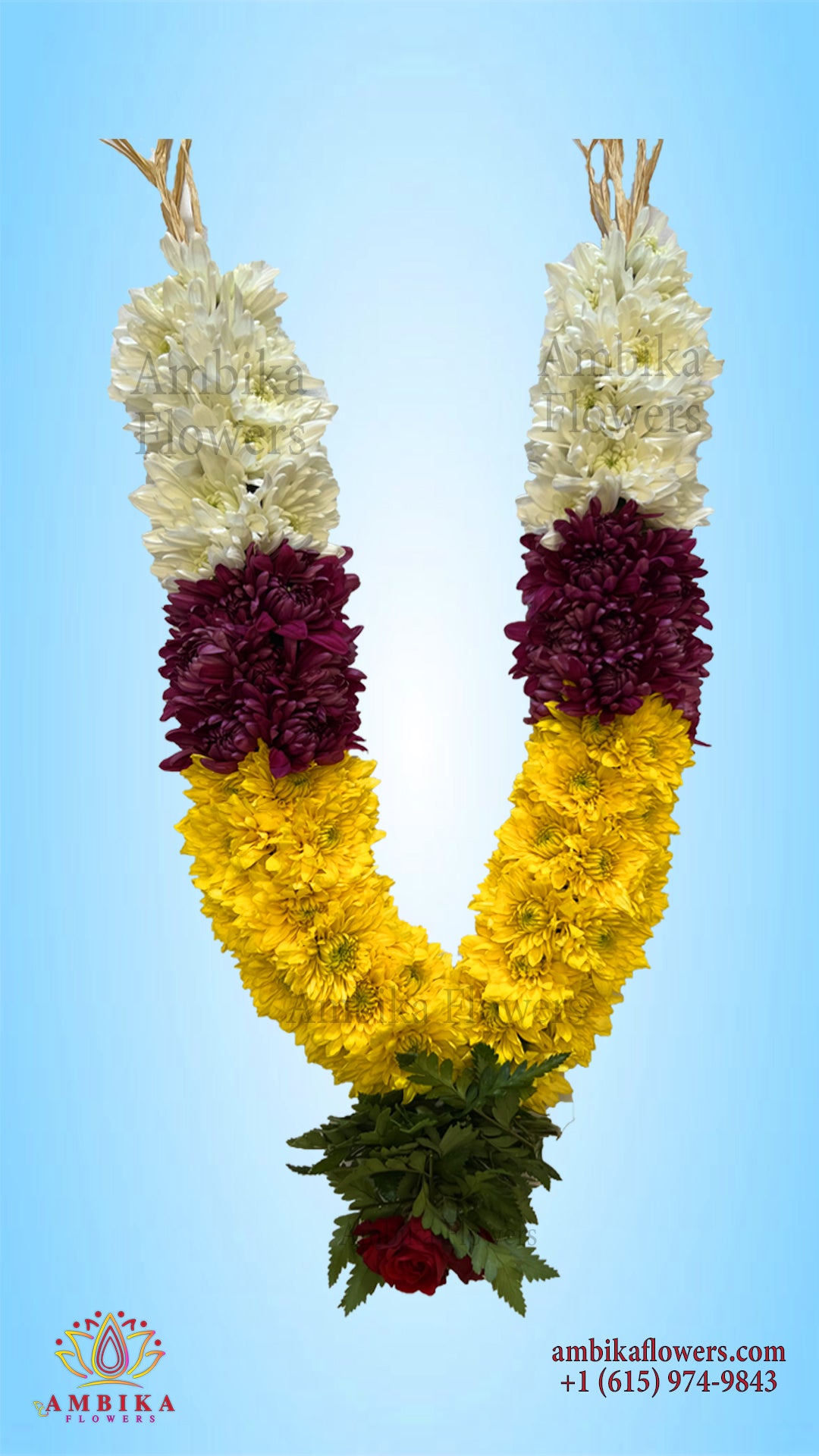 Pooja Garland Mums - Multicolor - PG52