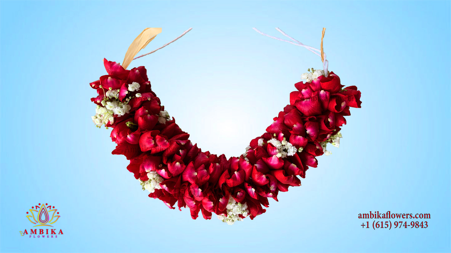 Veni - Rose Petals with Baby Breath  - V007