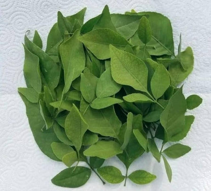 Vilvam (Indian Bael) Leaves (100g) - L002